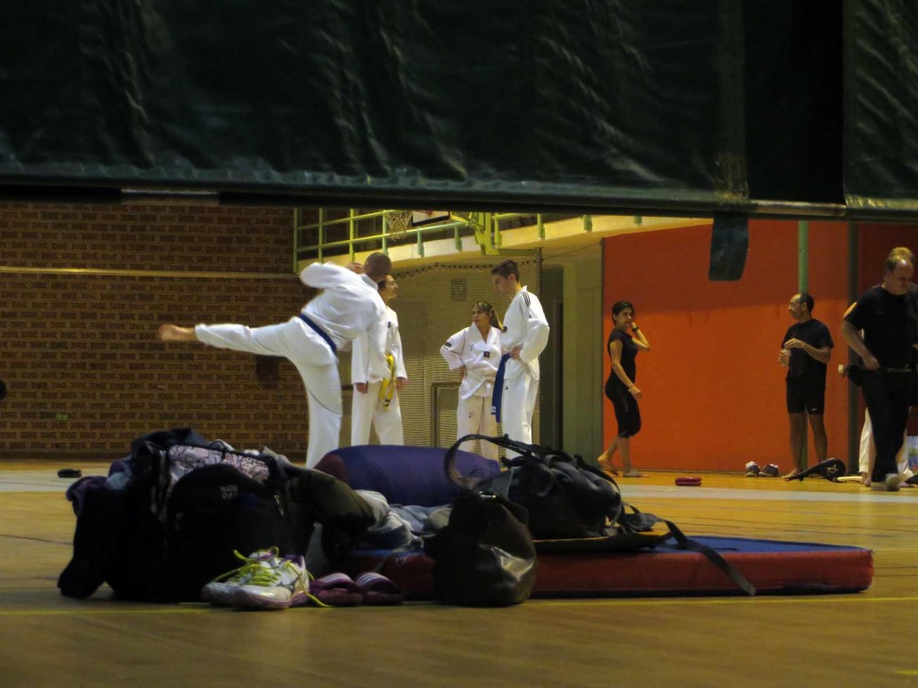 taekwando